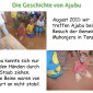 Geschichte von Ajubu