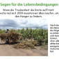 Hungerhilfe