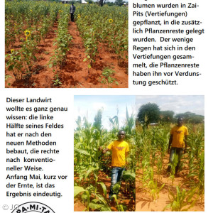 Zusammenfassung Projekt Ernährungssicherung 1